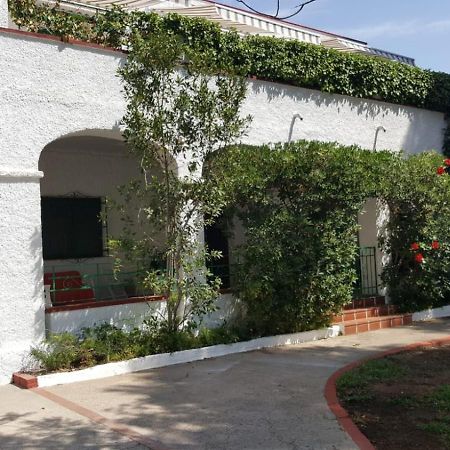 Villa Feli 3 Benicàssim Екстериор снимка